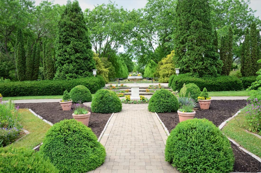 Jardinería López 2